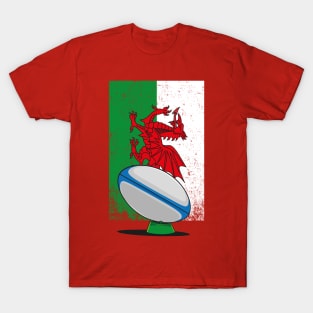 Welsh rugby Union T-Shirt